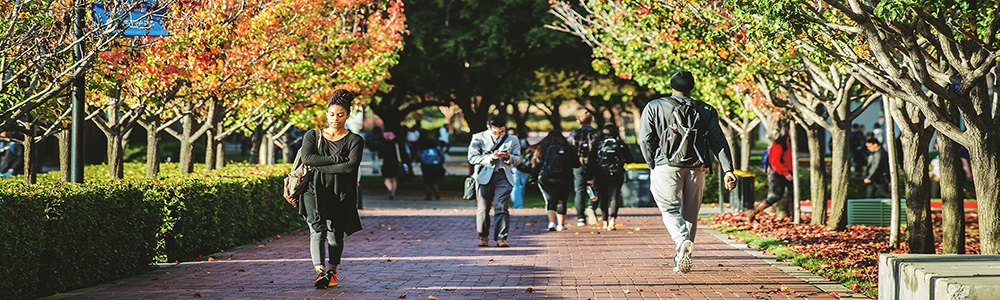 ASSOCIATION OF INDEPENDENT CALIFORNIA COLLEGES AND UNIVERSITIES (AICCU)