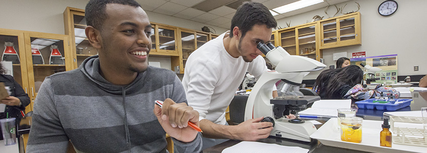 using microscope