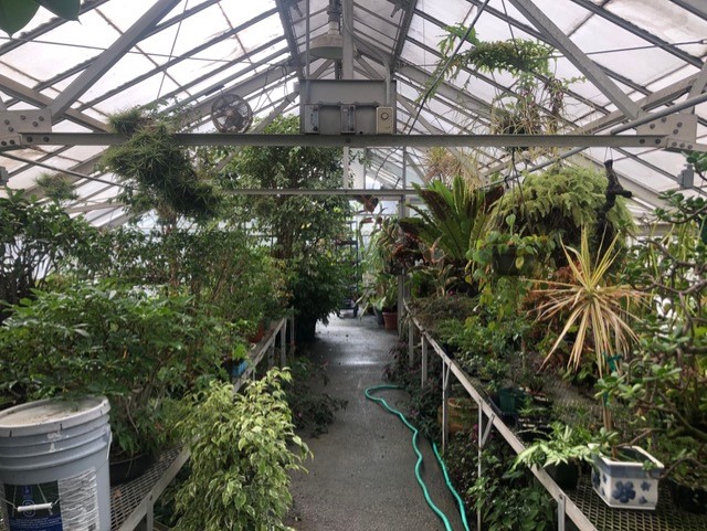 greenhouse