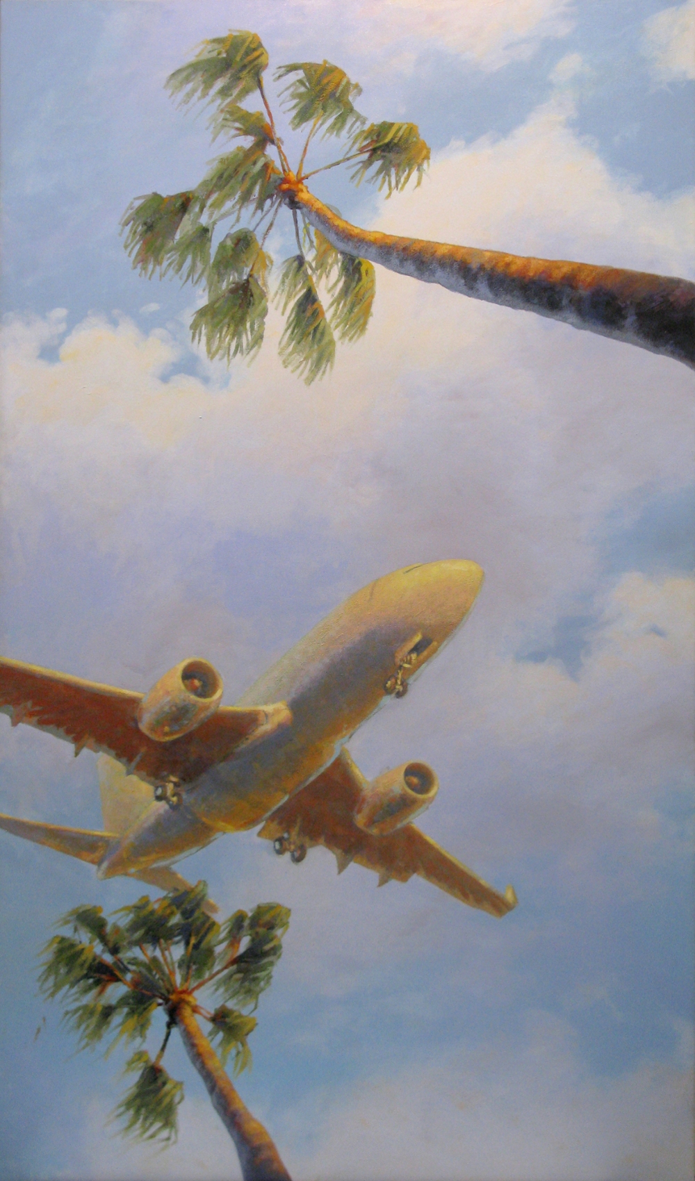 airliner between palms