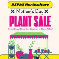 Image of DSP&S Mother's Day Sale flyer