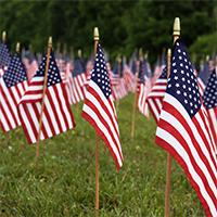 USA flags