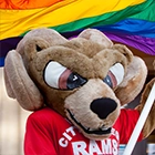Sam the Ram with Pride Flag