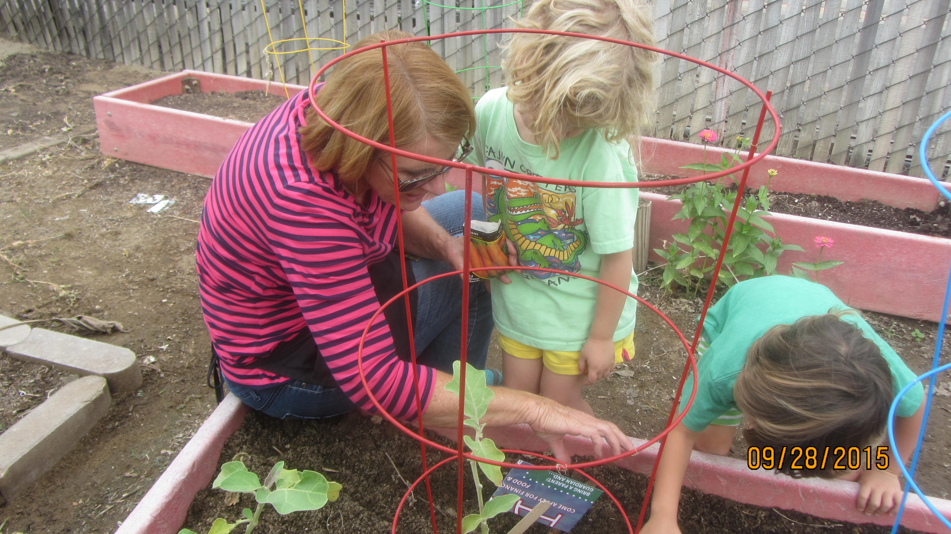 The Child Development Center garden.